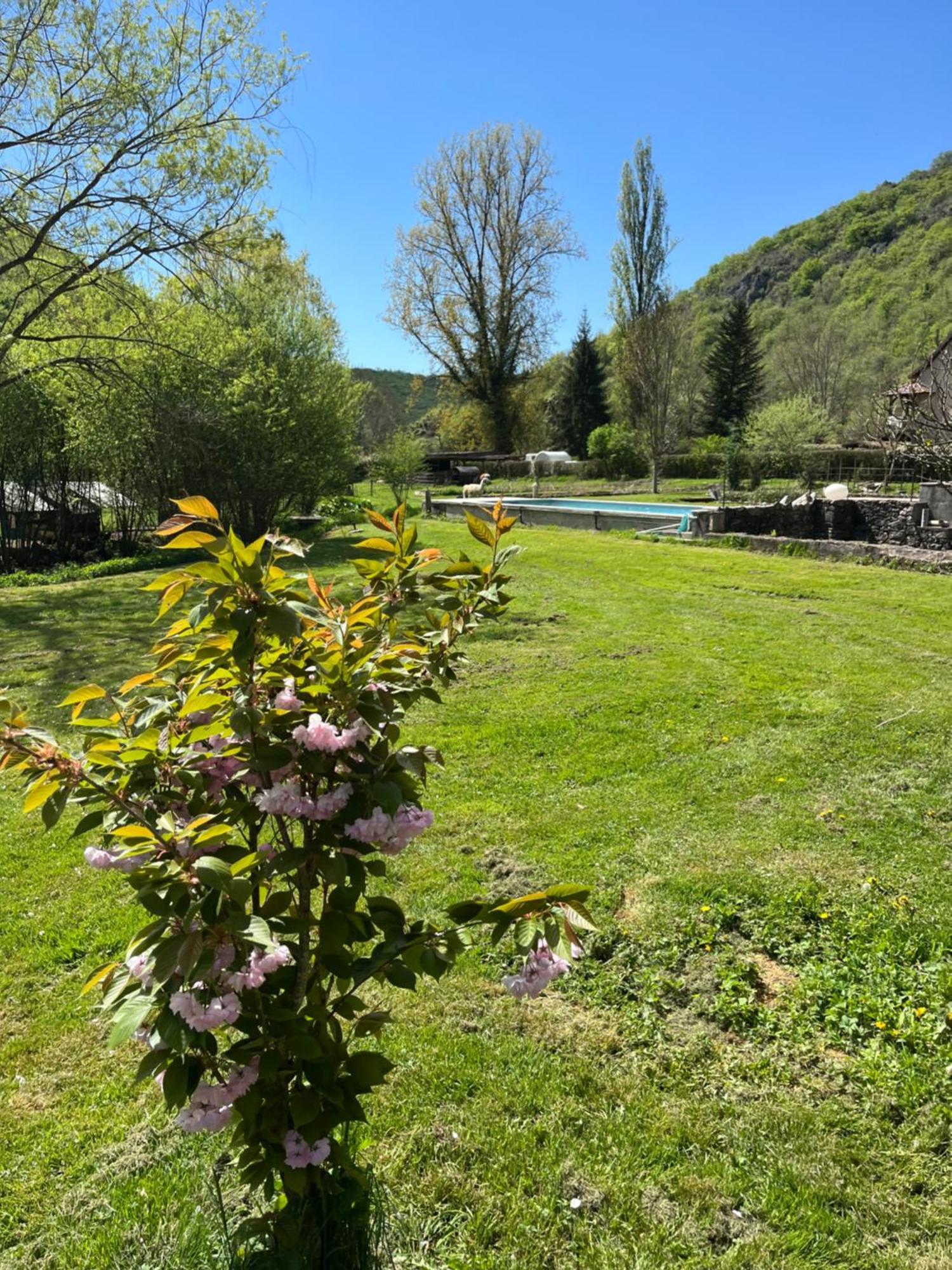 Les Pieds Dans L'Eau, Gite Le Blagour Lachapelle-Auzac Exteriör bild